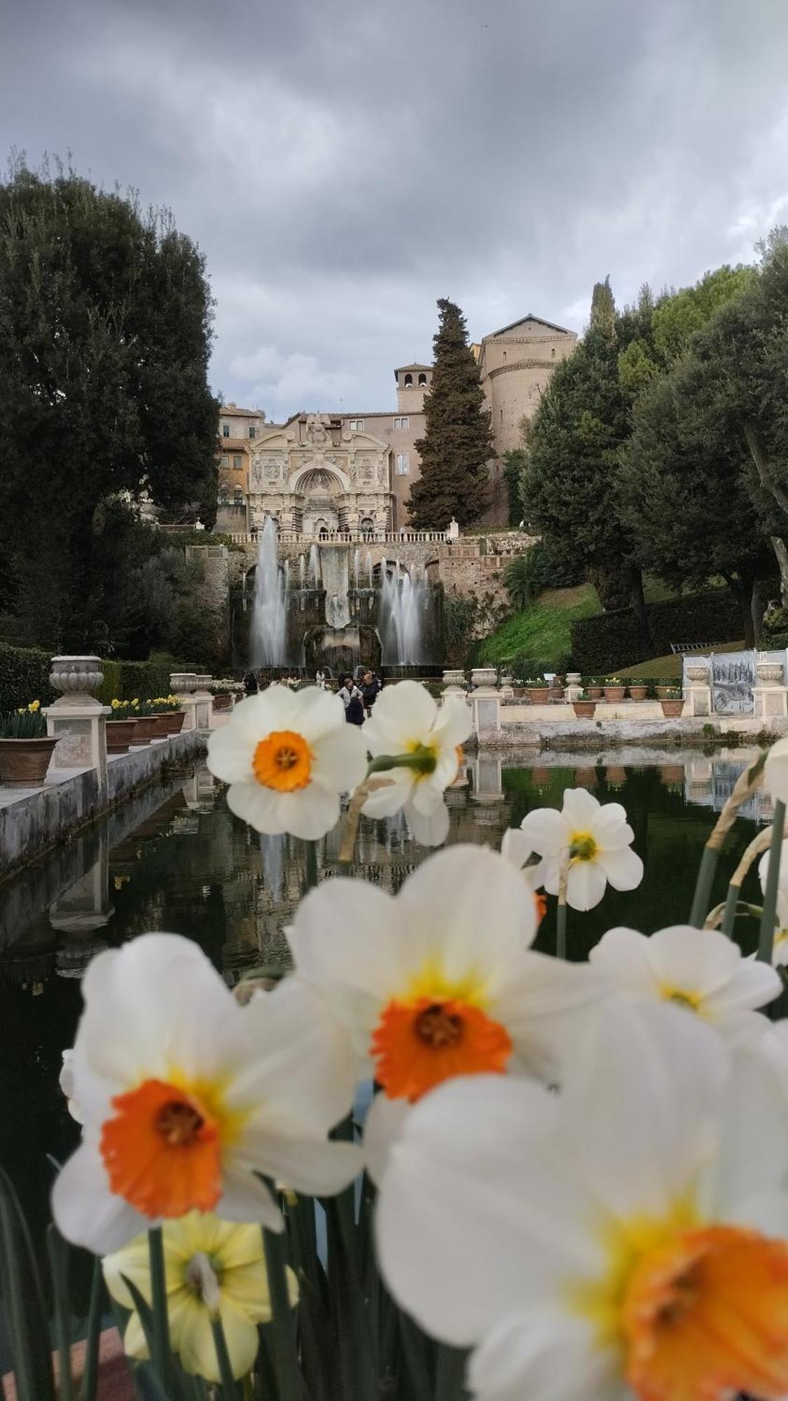 Alf E Ann B&B Tivoli Terme Dış mekan fotoğraf